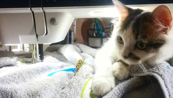 Les nouvelles du front