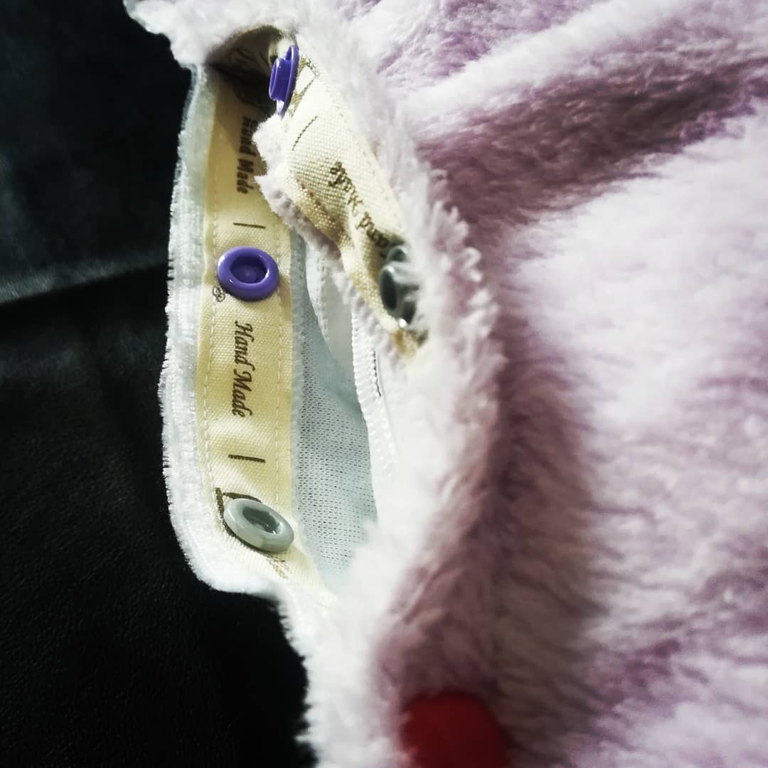 First Steps in the Trump Era